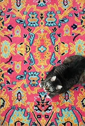 Navajo rug restoration